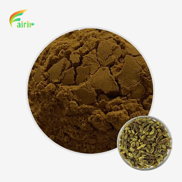 Fructus Sophorae Extract Powder